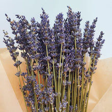 Load image into Gallery viewer, Local Dried French Lavender