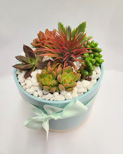 Load image into Gallery viewer, Succulent Planter