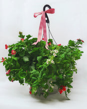 Load image into Gallery viewer, Hanging Basket