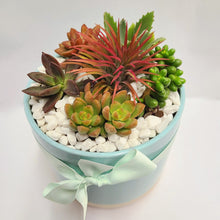 Load image into Gallery viewer, Succulent Planter