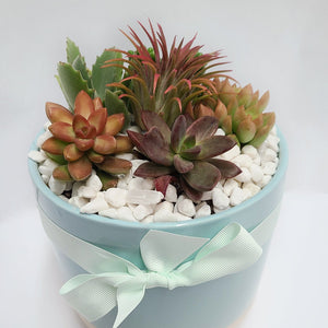 Succulent Planter